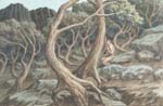 GIOVANNI BATTISTA CREMA, A Satyr in a Wood, watercolour
